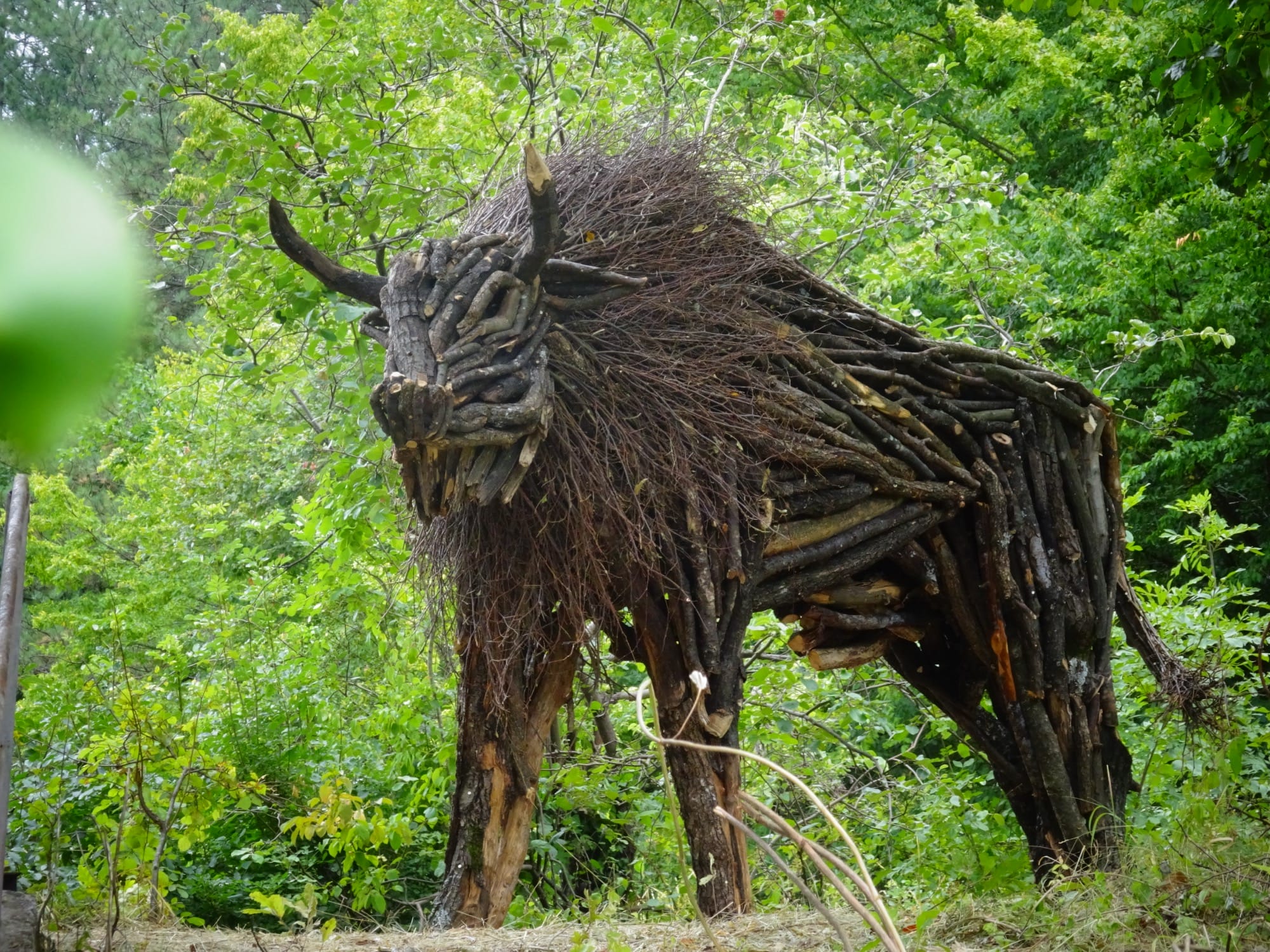A sculpture of a horned bull made from branches and twigs by Rodolfo Liprandi