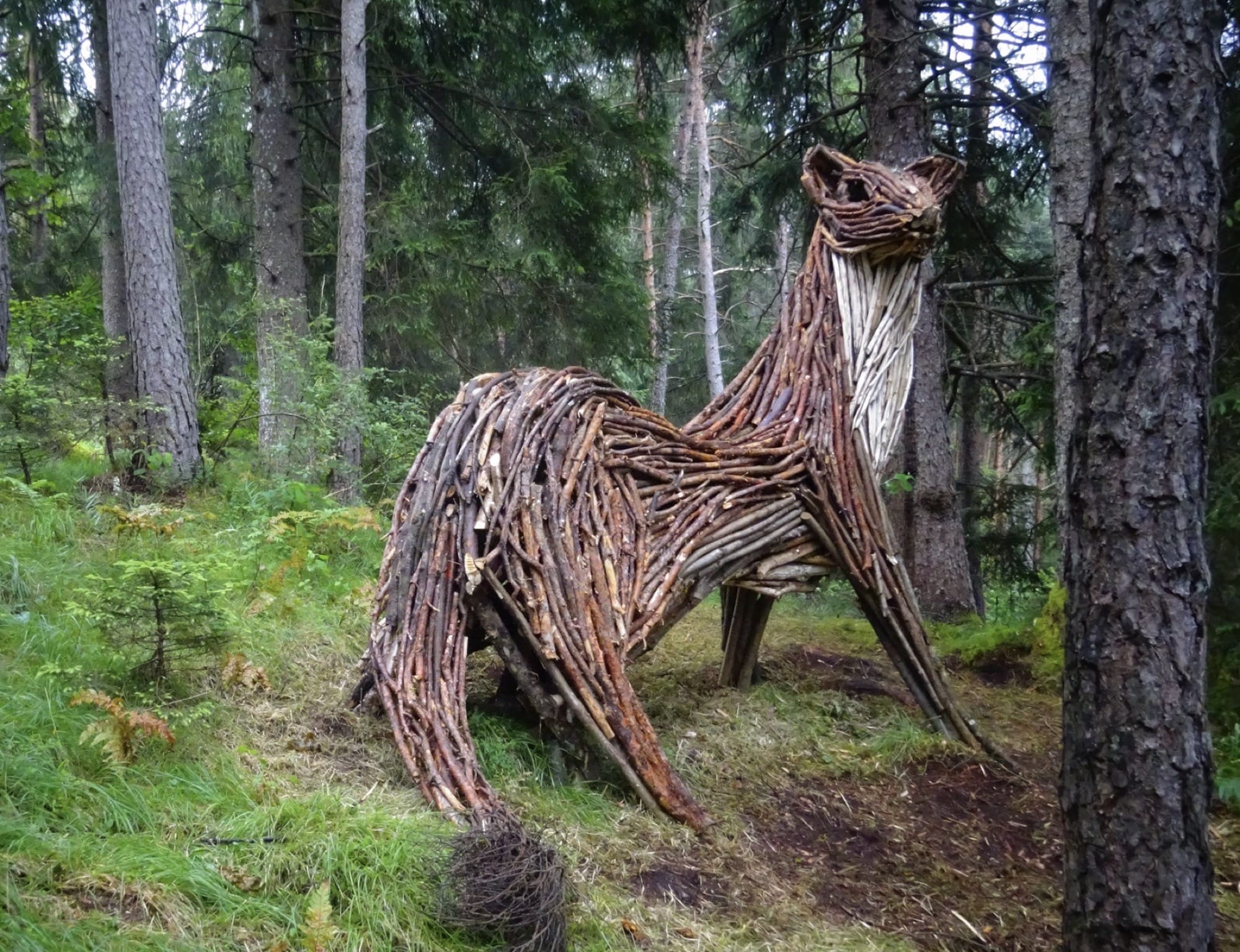A sculpture of an ermine made from branches and twigs by Rodolfo Liprandi