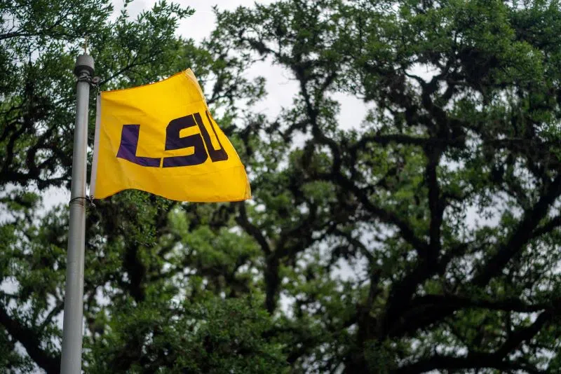 Report: CSC to investigate LSU over player compensation