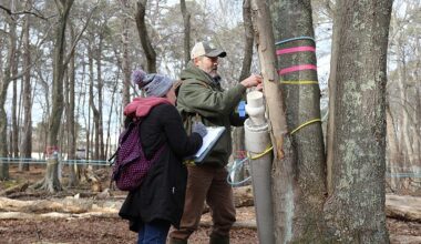 Stockton awarded USDA grant to continue maple syrup project