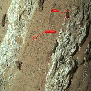 An annotated version of the image of “Cheyava Falls” indicates the markings akin to leopard spots, which have particularly captivated scientists, and the olivine in the rock. The image was captured by the WATSON instrument on NASA’s Perseverance Mars rover. Credit: NASA
