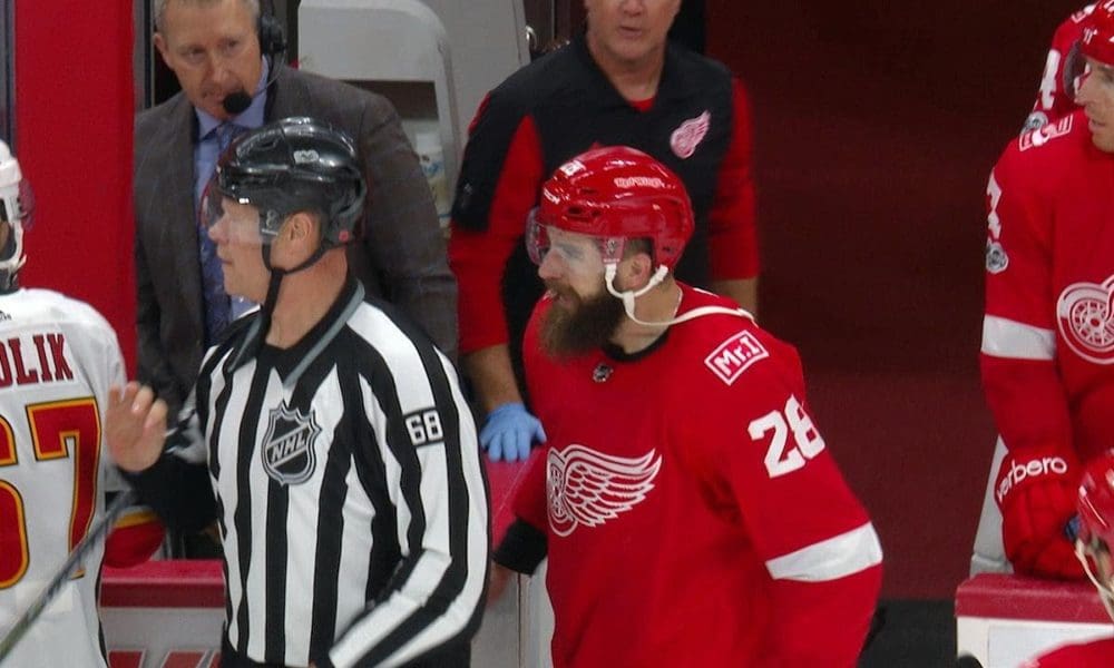Luke Witkowski, Detroit Red Wings