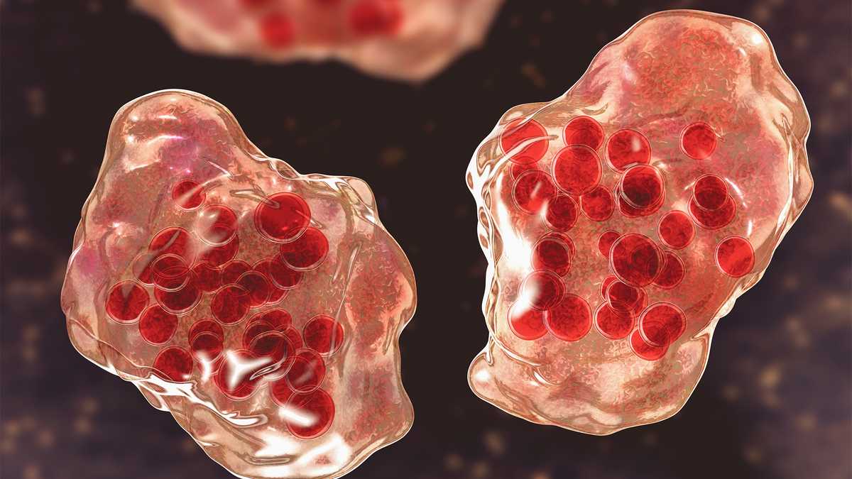 Person who traveled through Maryland had measles, MDH says