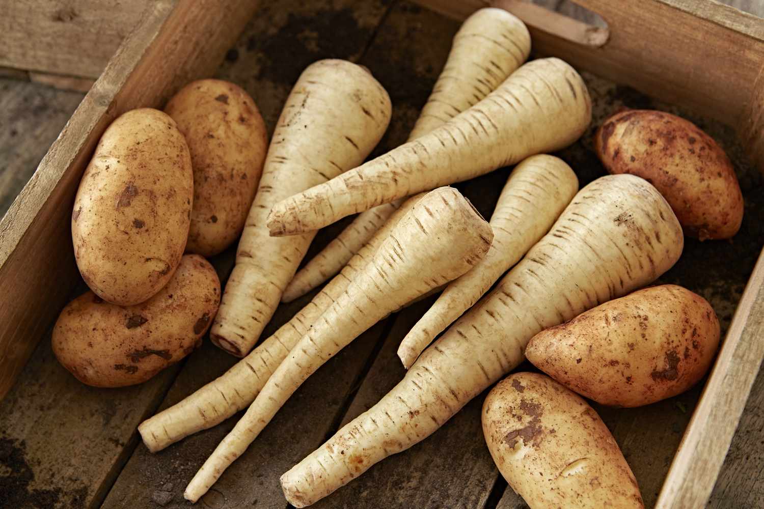 6 Winter Vegetables That Are Packed With Protein