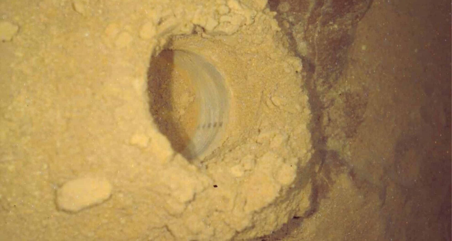 NASA’s Curiosity Rover Just Uncovered Something Strange Beneath Mars