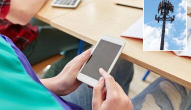 Cellphone health risks are focus of new government study