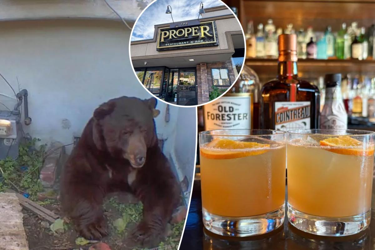 Exclusive | It'll put hair on your chest! LA bar creates boozy drink to honor squatter bear
