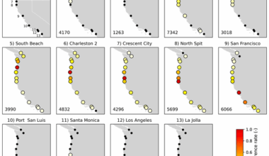 Assessing the spatial correlation of potential compound flooding in the United States