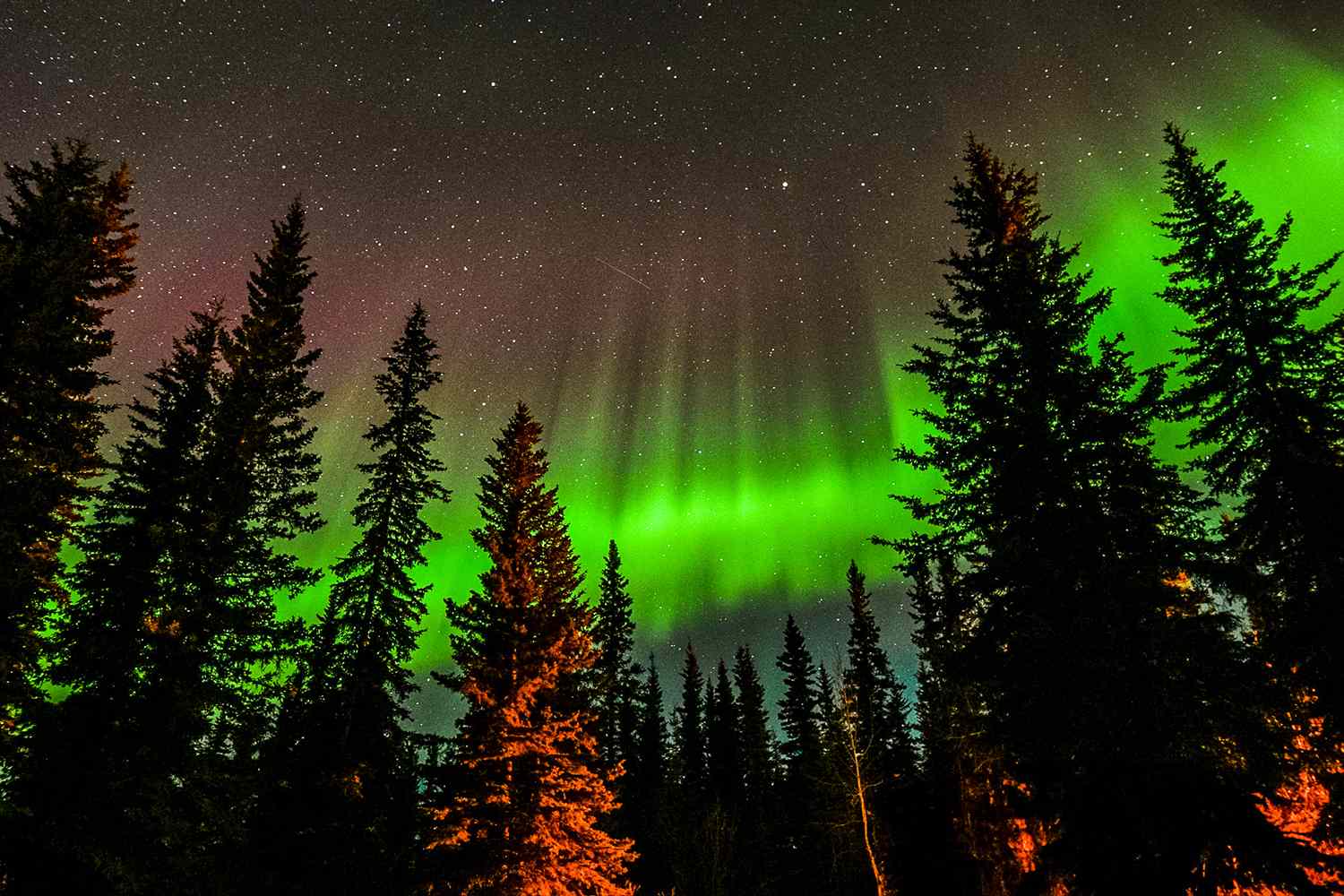How to Watch the Northern Lights from 13 States Tonight