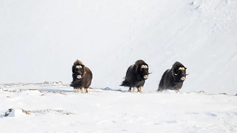 Kevin Hall (Credit: Kevin Hall)