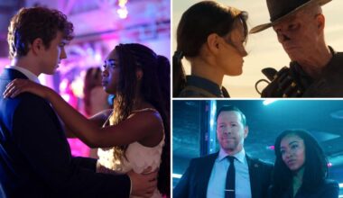 Find Out Which Series Will Return for Another Season