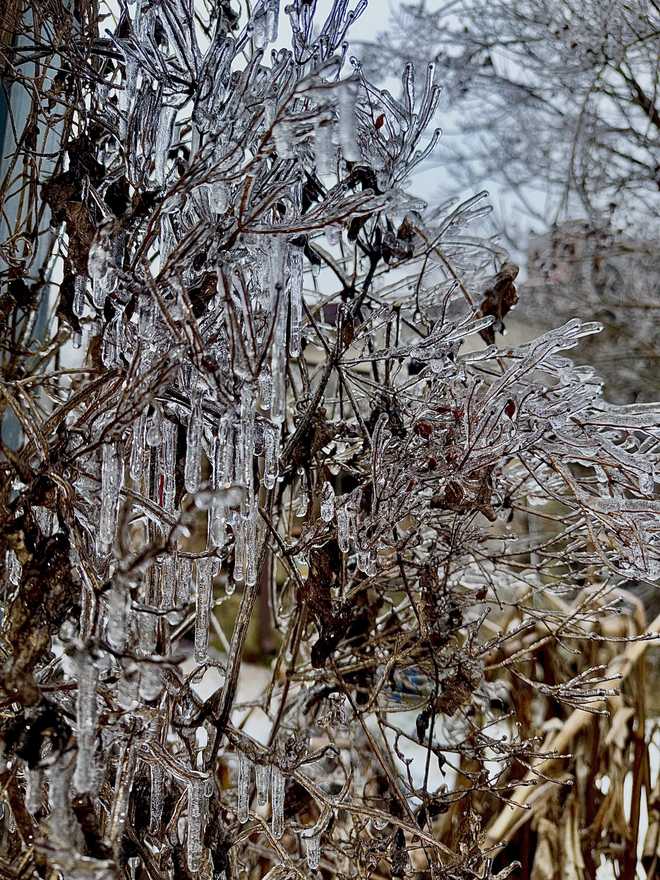 Pickens ice pickens ice