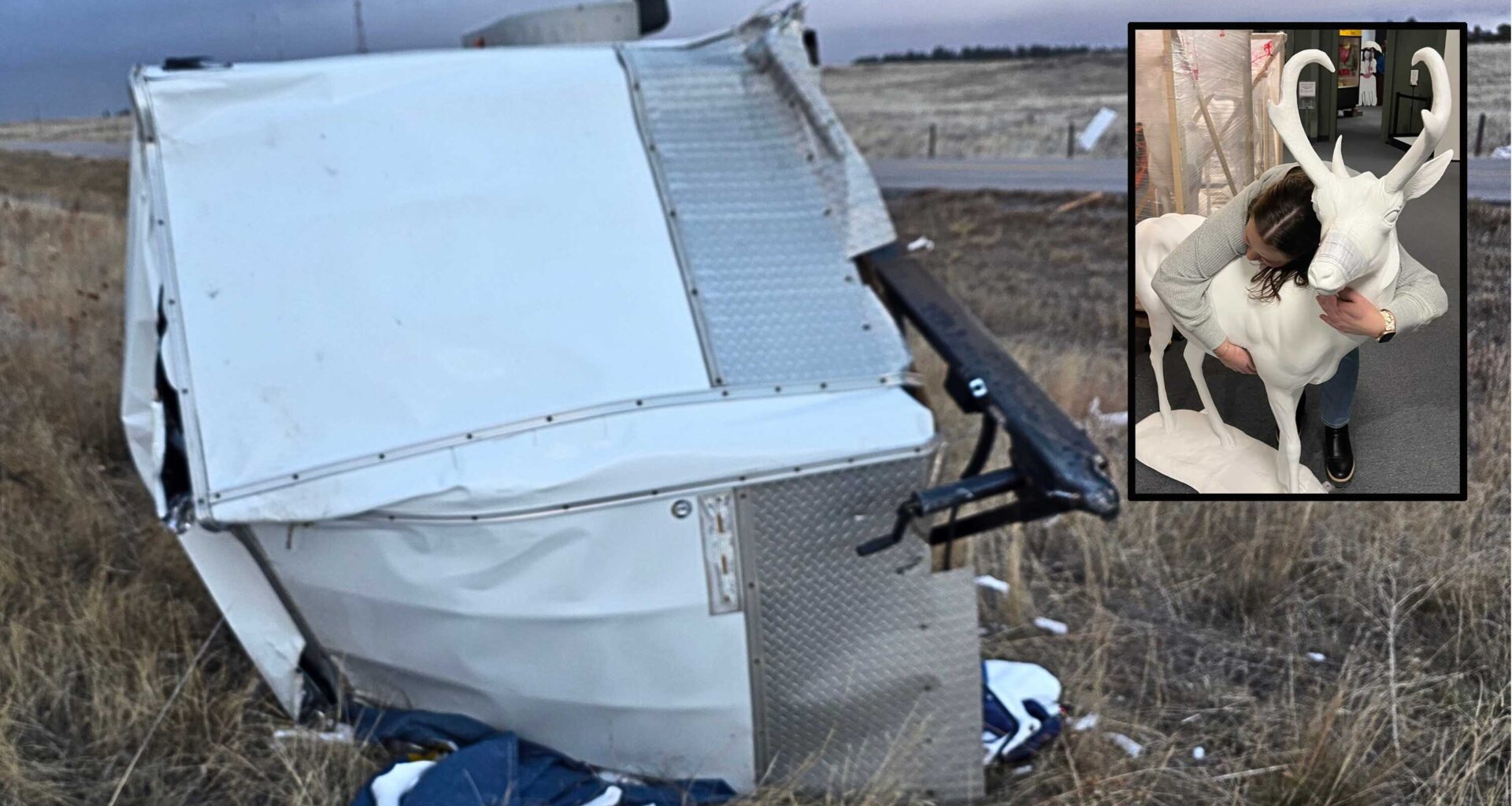 Cowboy State Daily logo