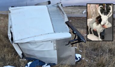 Cowboy State Daily logo