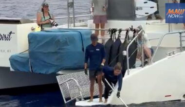 Rare discovery: Nearly intact whale placenta retrieved by Pacific Whale Foundation : Maui Now