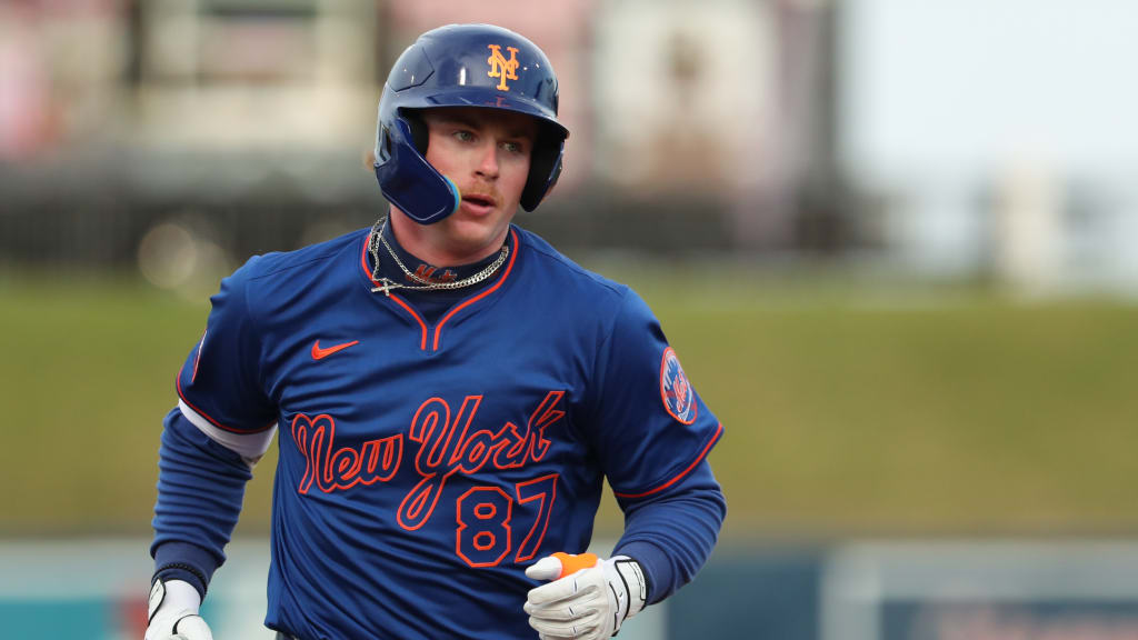 The Hatchery: Who I Expect to Crack the 2027 Top 100