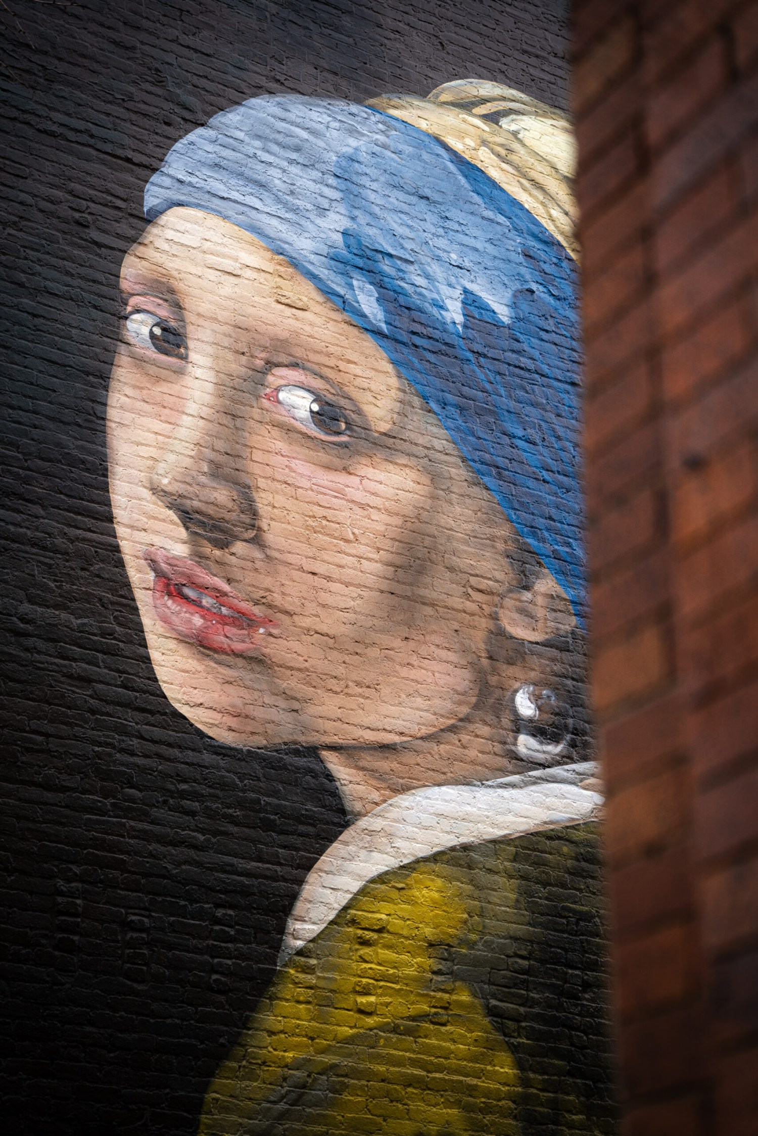 Lady with an Ermine / Girl with a Pearl Earring / Mammoth Murals