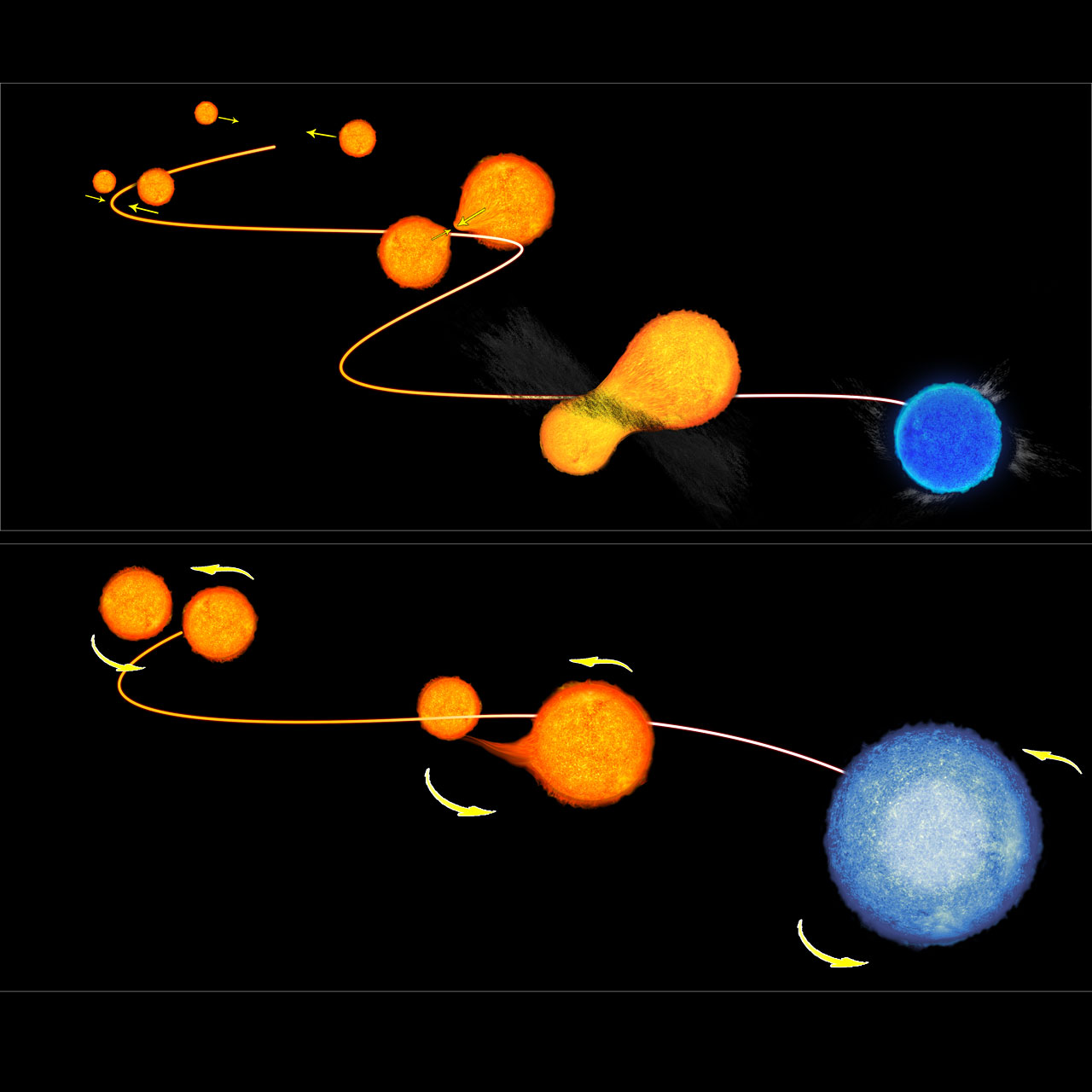Infographic depicting the two ways blue straggler stars can form.