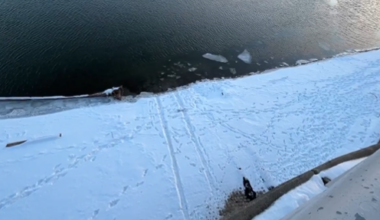 Large rescue response along Ohio River after car goes into water