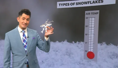 News 12 | Long Island