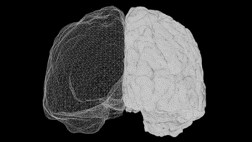 depiction of brain's two hemispheres