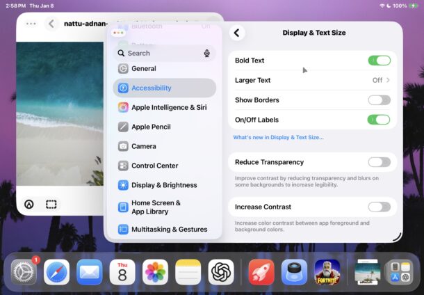 Show Borders setting on iPadOS 26