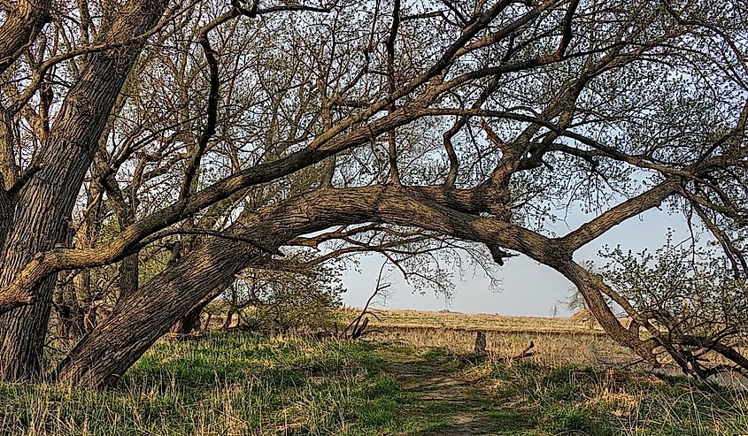 Good Earth State Park, an Urban State Park on the edge of the Sioux Falls.