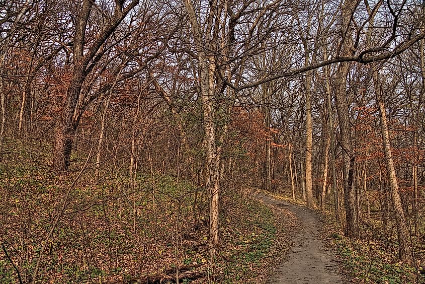 Fall foliage in Newton Hills State Park in South Dakota.