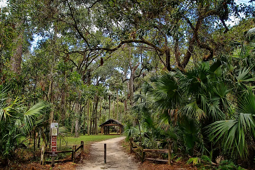The recreation area in the Ocala National Forest located in Juniper Springs, Florida. Editorial credit: Rafal Michal Gadomski / Shutterstock.com