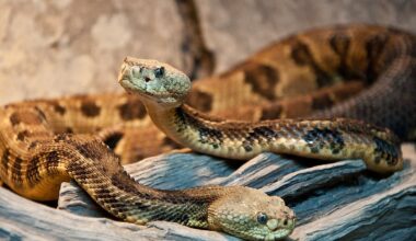 7 Snake Infested State Parks In Iowa