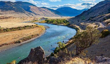 The Most Snake Infested Rivers In Montana