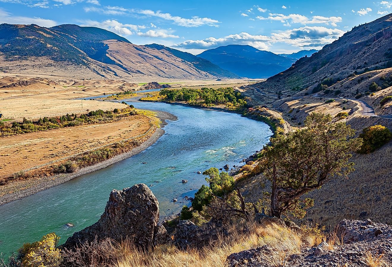 The Most Snake Infested Rivers In Montana