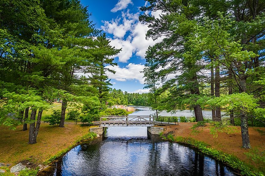 Serene wilderness at the Bear Brook State Park, New Hampshire.