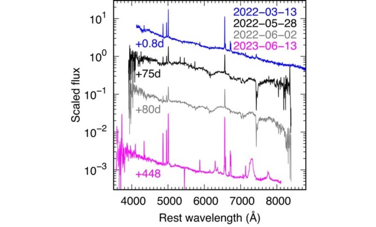 Spectral Evolution Of Sn 2022esa From Day 0.8 To Day 448. ©publications Of The Astronomical Society Of Japan