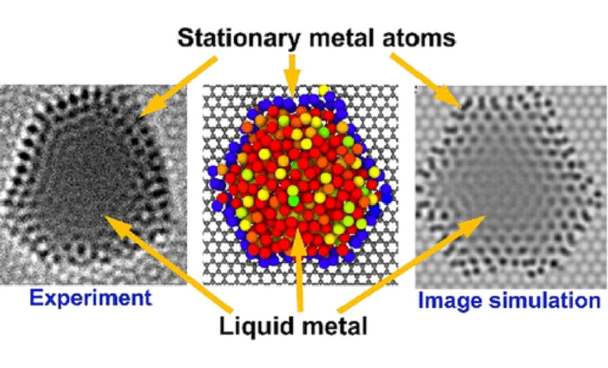 Stationary Metal Atoms