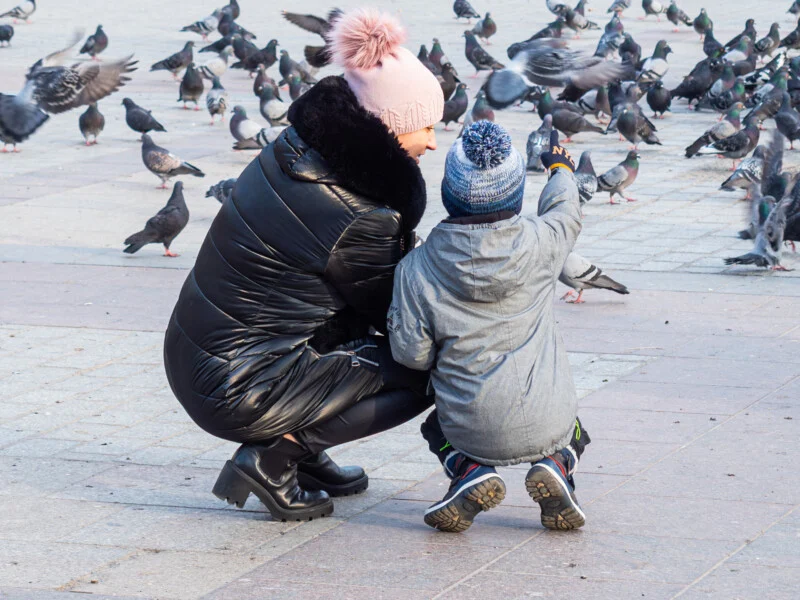 A woman and a child in winter clothes crouch on a paved area, watching and pointing at a large group of pigeons on the ground. Both are wearing hats, and the woman has a pink pom-pom hat.