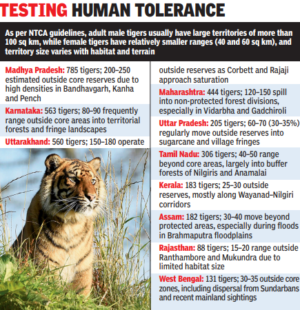 Testing human tolerance