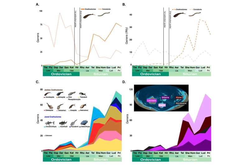 The Age Of Fishes Bega 2