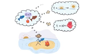 a new uncertainty relation for time itself – Physics World