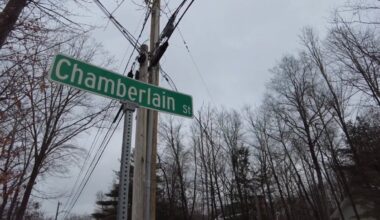 Bear attempts to make den under Torrington home, prompting safety reminders from DEEP – NBC Connecticut