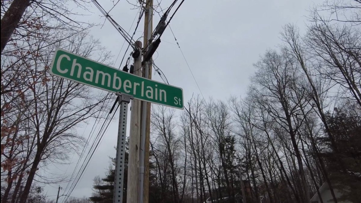 Bear attempts to make den under Torrington home, prompting safety reminders from DEEP – NBC Connecticut