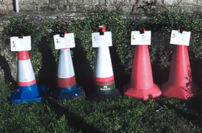 some of David's traffic cones