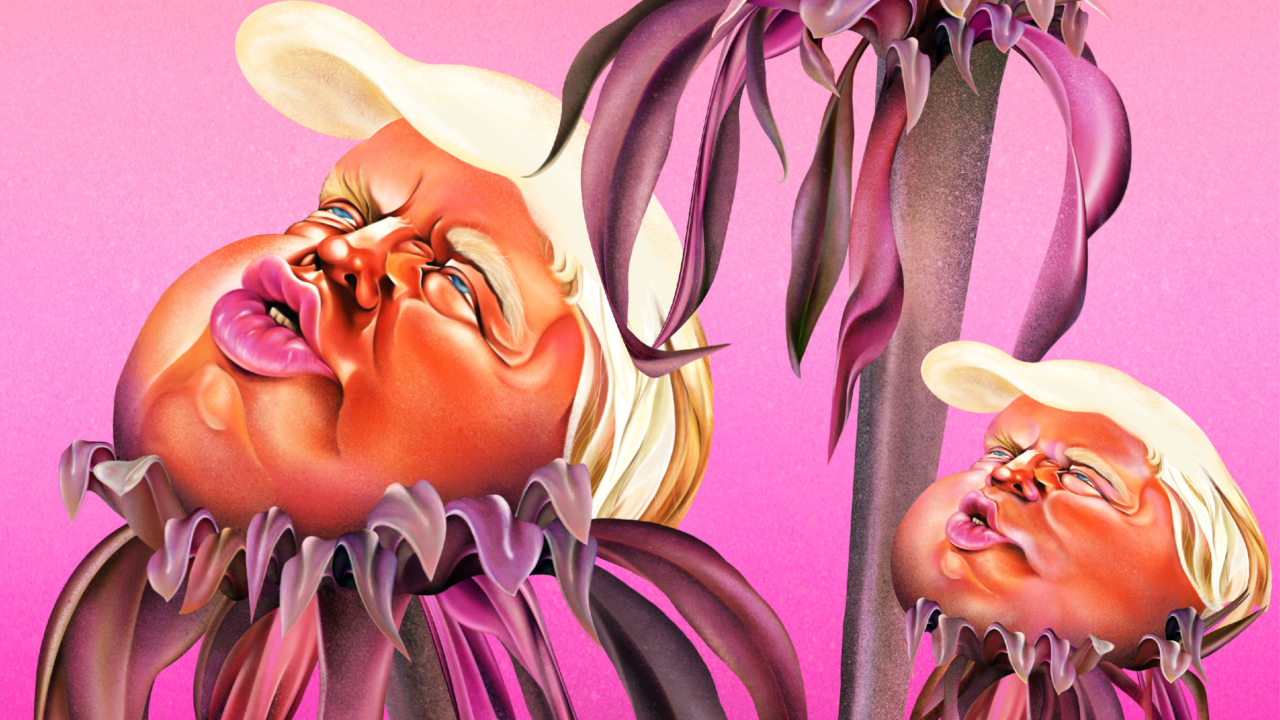 A Year On, Bill McKibben’s (Green) State Of The Union