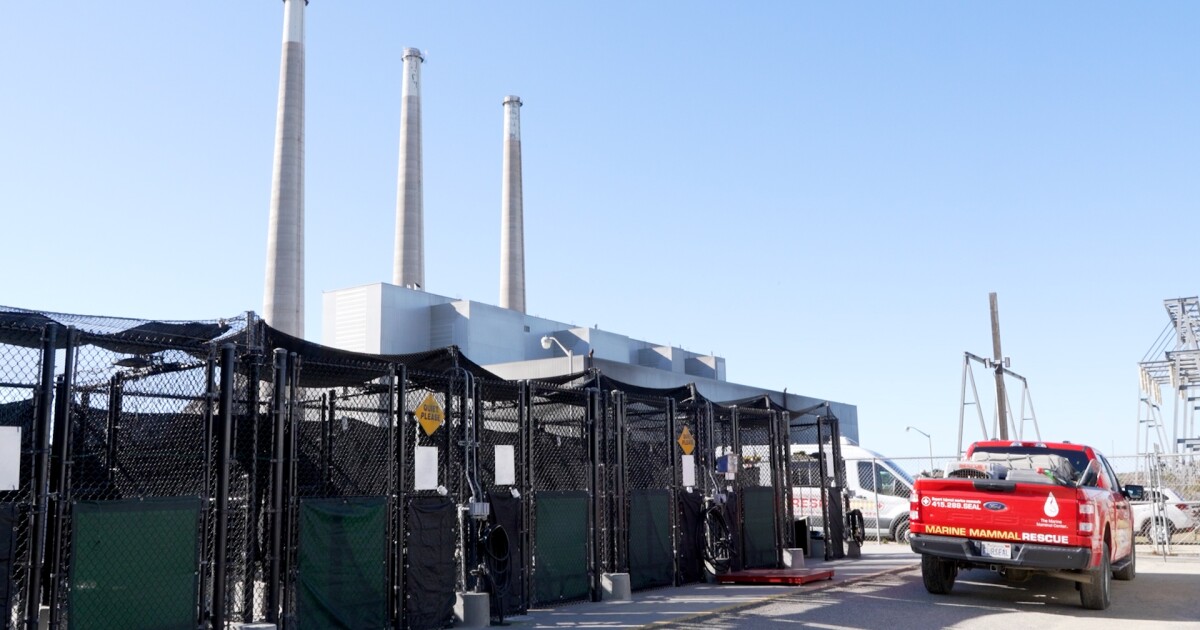 Marine Mammal Center searches for new home after being ousted by Vistra