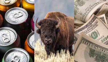 Countless new rules across 50 states. Here are some of the new laws for 2026