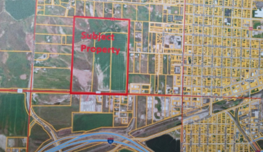 State identifies 114-acre site in Laurel for new forensic mental health facility