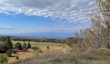 Western Pa. land acquired to protect rare birds