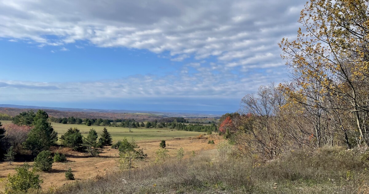 Western Pa. land acquired to protect rare birds