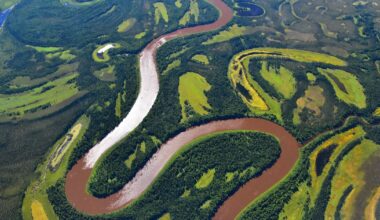 U.S. Supreme Court declines to hear case that could have upended Alaska subsistence fishing