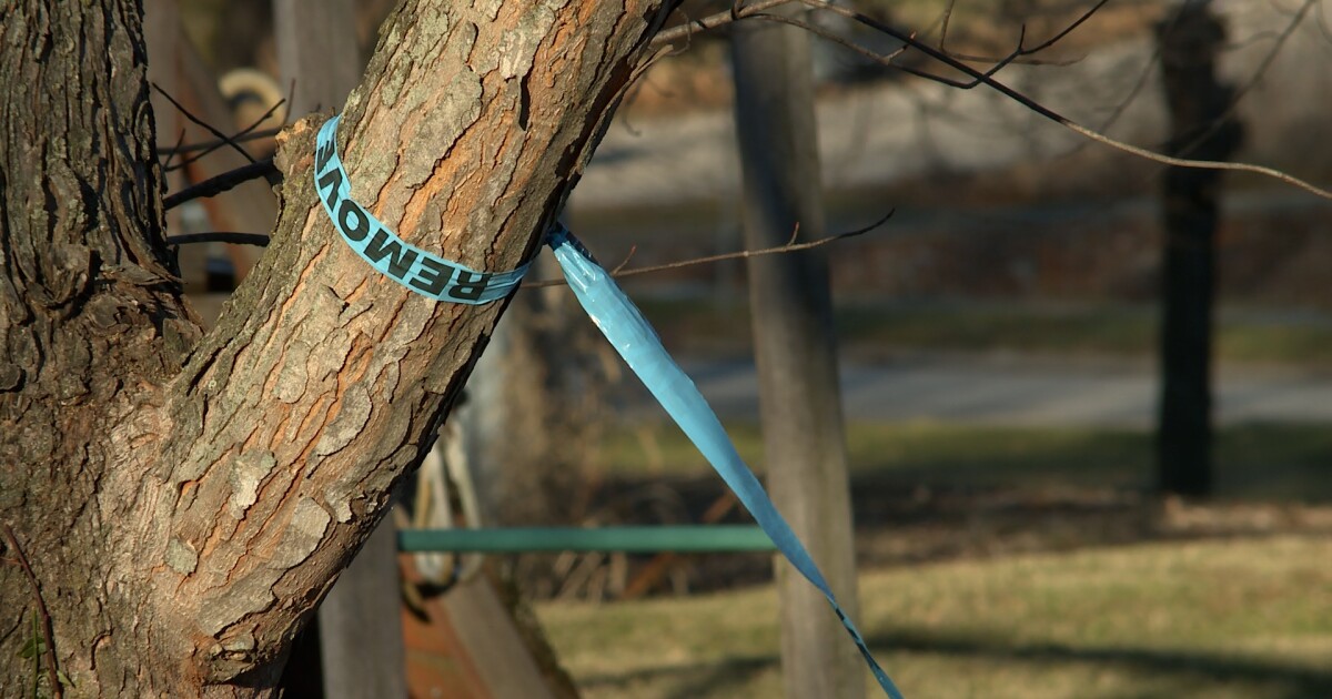 Utility, residents disagree on need to cut trees